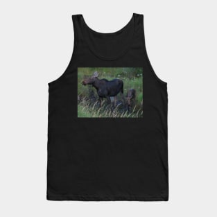 Moose Cow and her Calf Tank Top